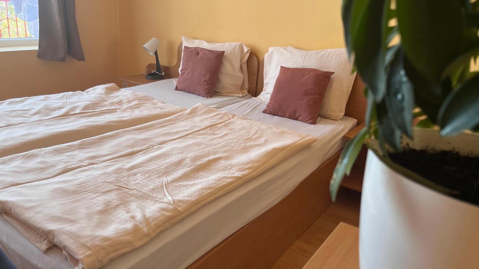 Manuela Ifjusagi Hotel バラトンフレド エクステリア 写真